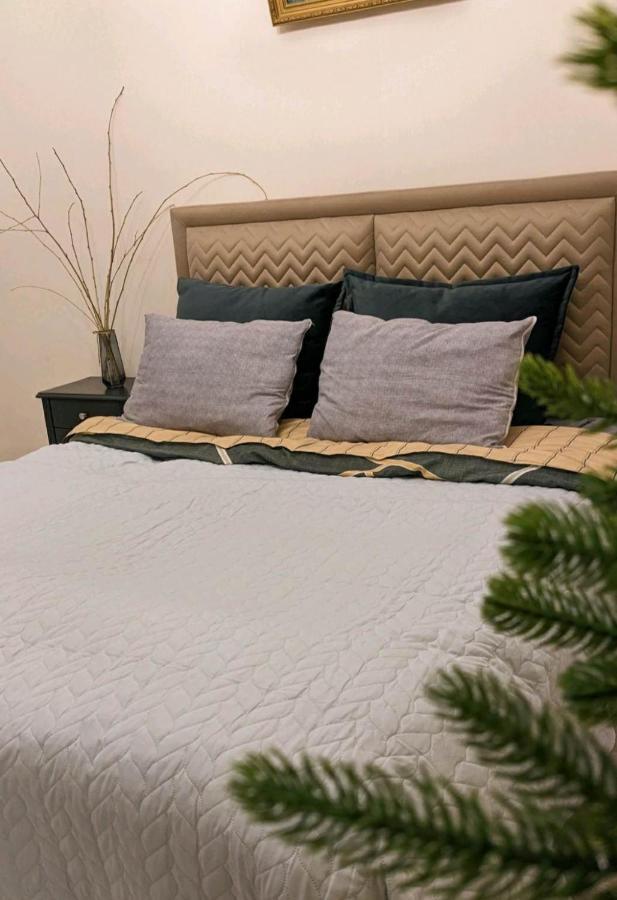 Old Town-Booking Apartment ティビリシ エクステリア 写真